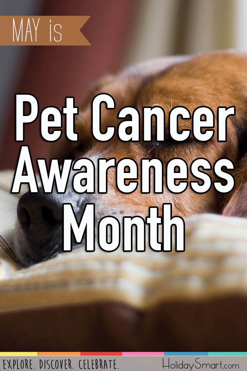 Pet Cancer Awareness Month Holiday Smart