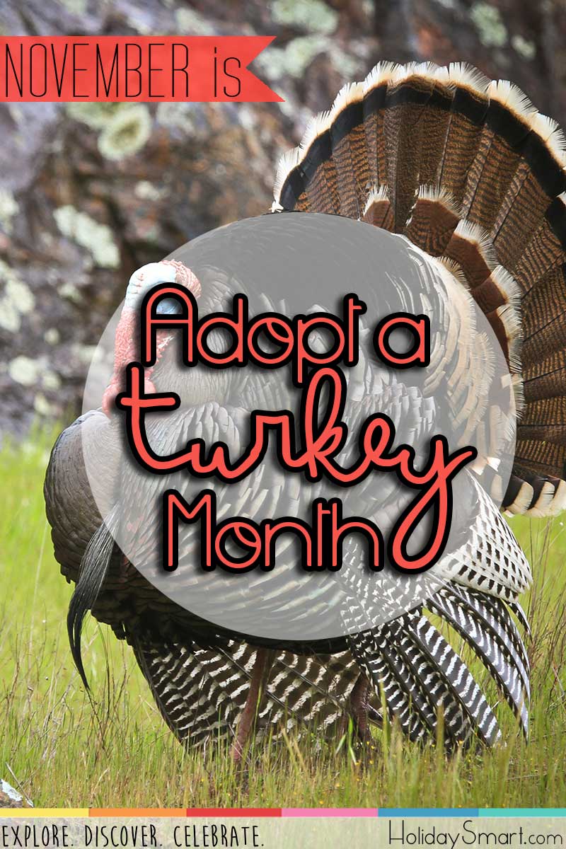 November is Adopt a Turkey Month