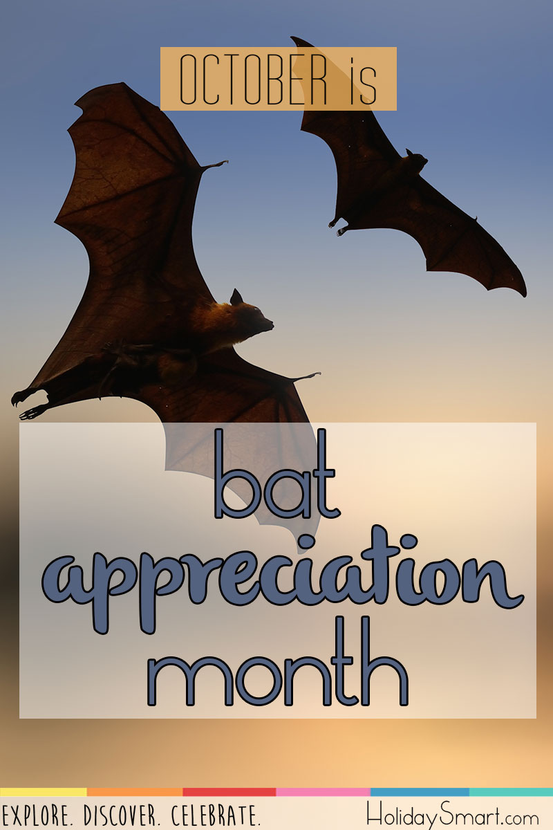 October is Bat Appreciation Month