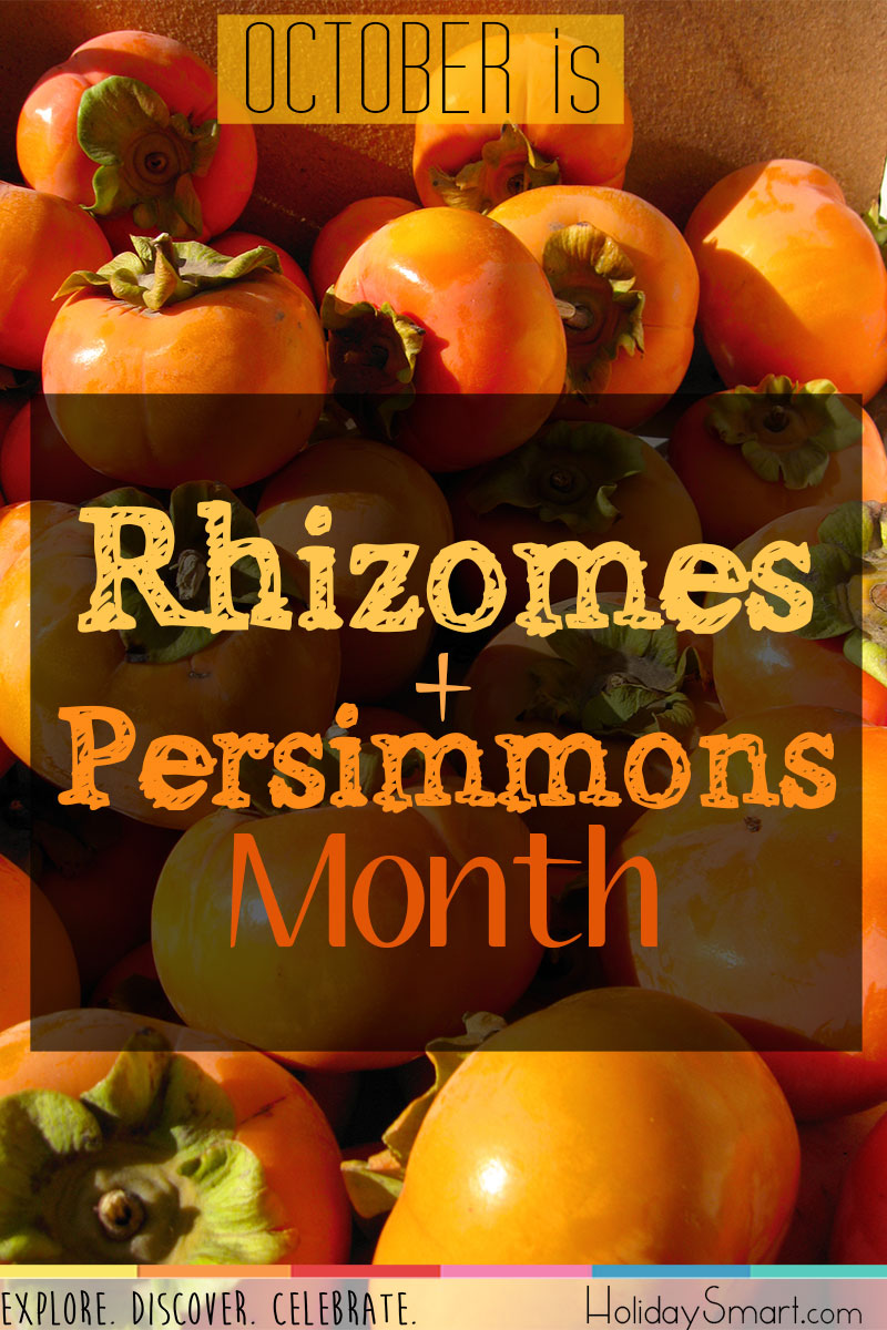 October is Rhizomes and Persimmons Month