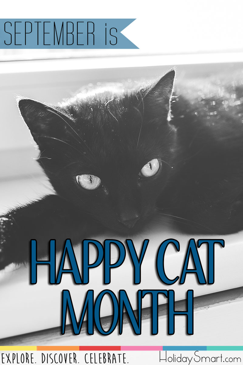 Happy Cat Month Holiday Smart