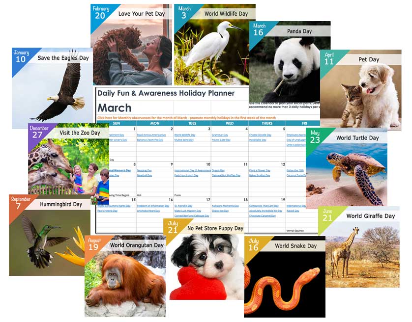 Animal & Pets Holiday Calendar