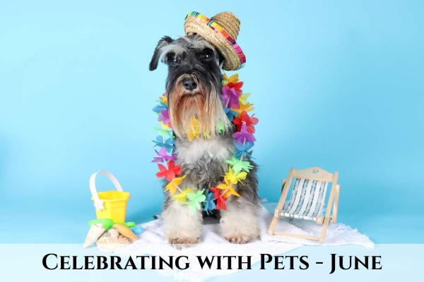 Celebrate with Pets