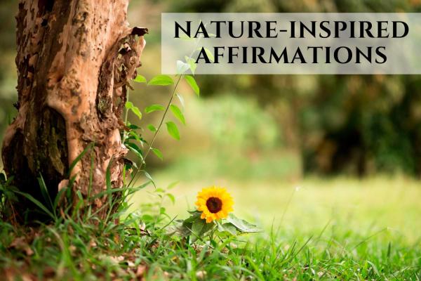 Nature-Inspired Affirmations to Connect with the Earth and Embrace the World Around Us