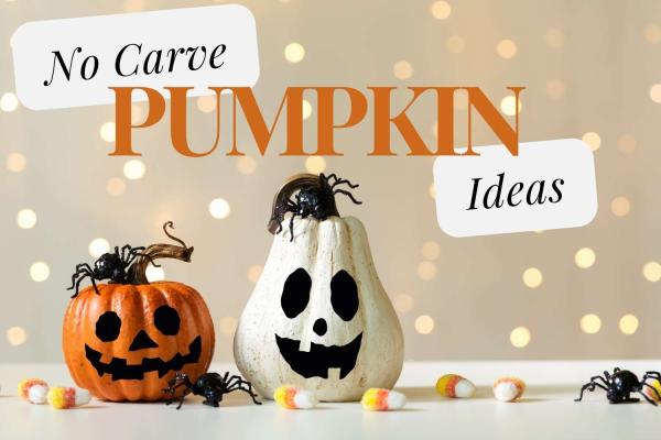 40 No Carve Pumpkin Ideas