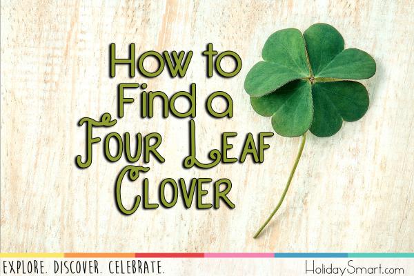 How to  Find a  Four Leaf Clover