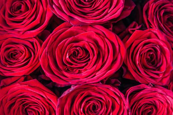 Anosmia Awareness Day