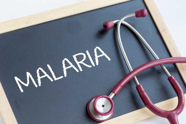 World Malaria Day
