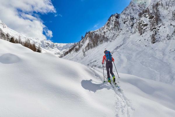 Backcountry Ski Day