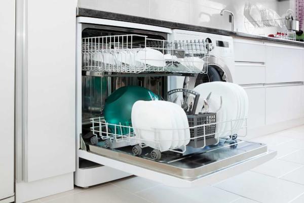 Dishwasher Appreciation Day