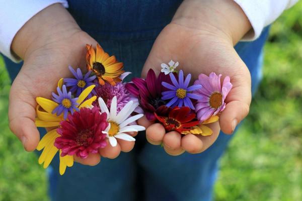 Bring Flowers to Someone Day