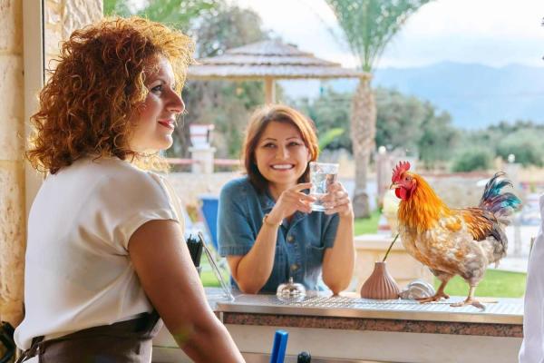 Drinking with Chickens Day