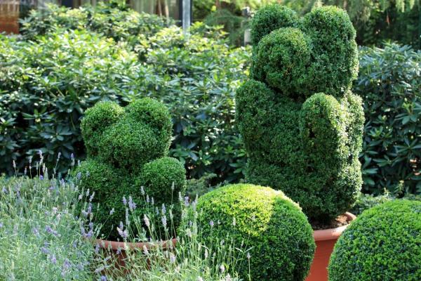 World Topiary Day