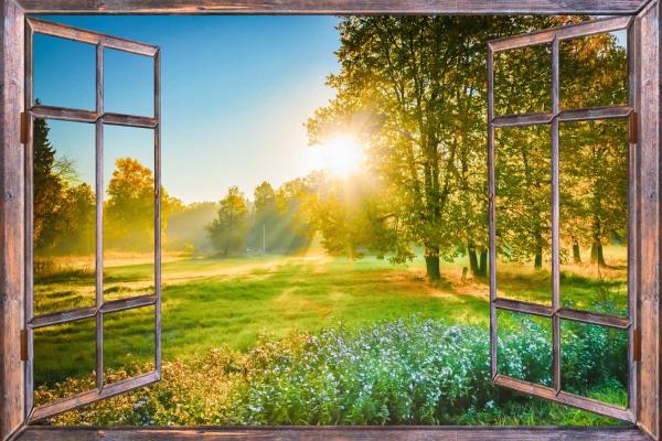 Daylight Appreciation Day