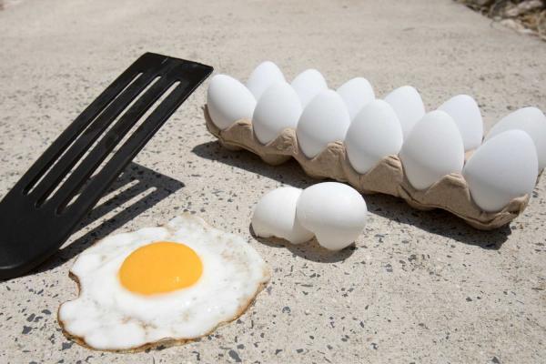 Sidewalk Egg Frying Day