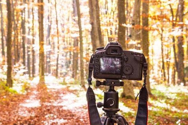 World Photography Day