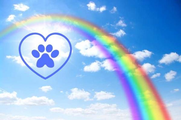 Rainbow Bridge Remembrance Day