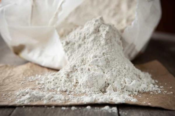 Diatomaceous Earth Day
