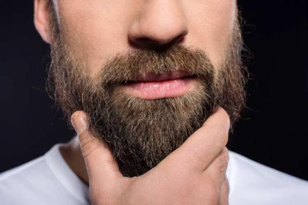 World Beard Day
