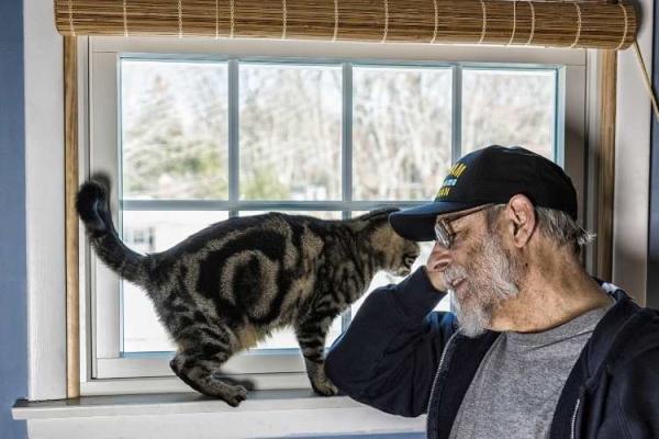 Pets for Veterans Day