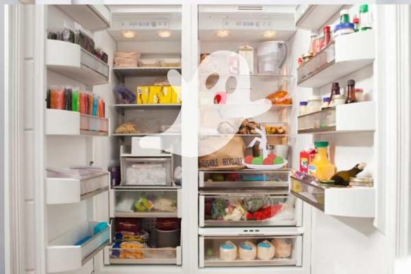 Haunted Refrigerator Night