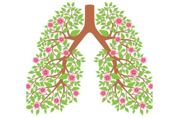 Lung Health Day