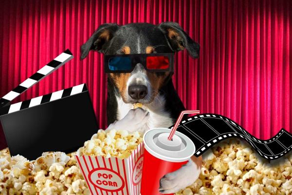 Dog Film Festival