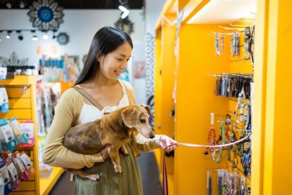 Shop with Your Dog Day