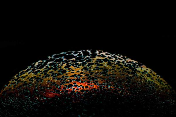 Day of Remembrance for all Victims of Chemical Warfare