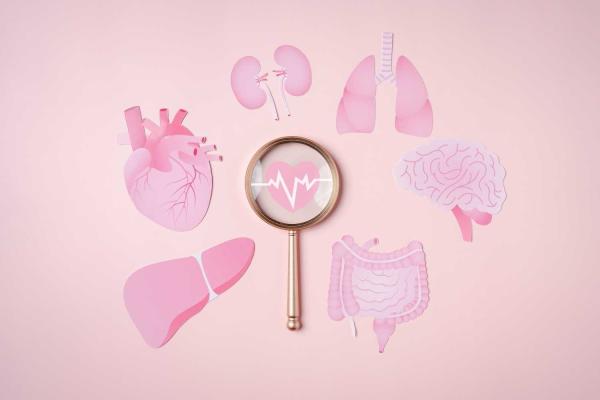 National Donor Sabbath