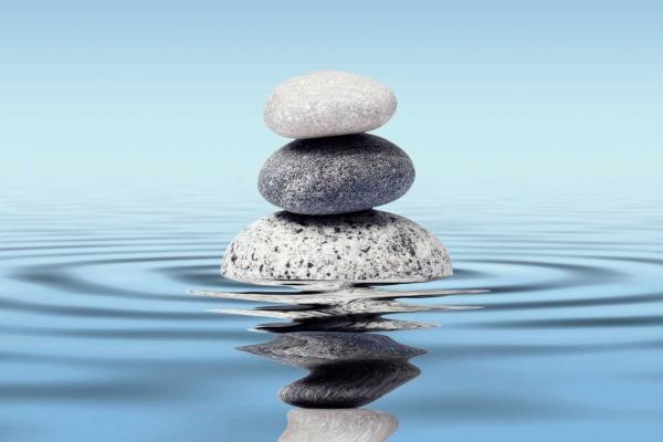 Peace Meditation Day