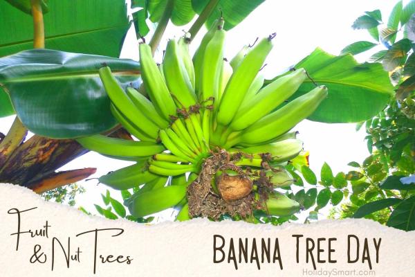 Banana Tree Day