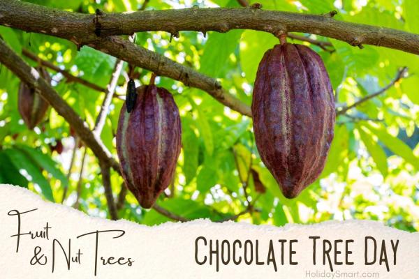 Chocolate Tree Day