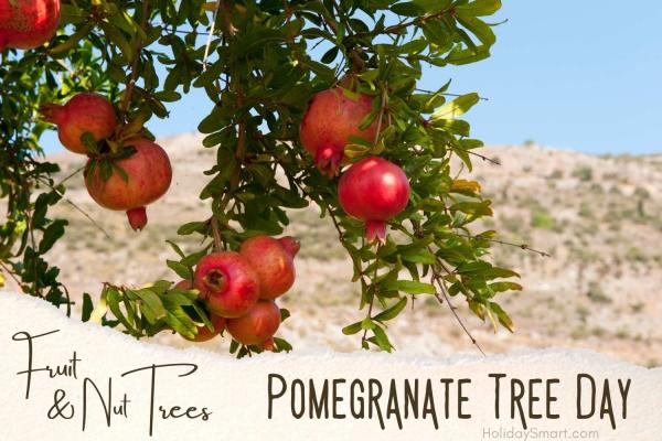 Pomegranate Tree Day