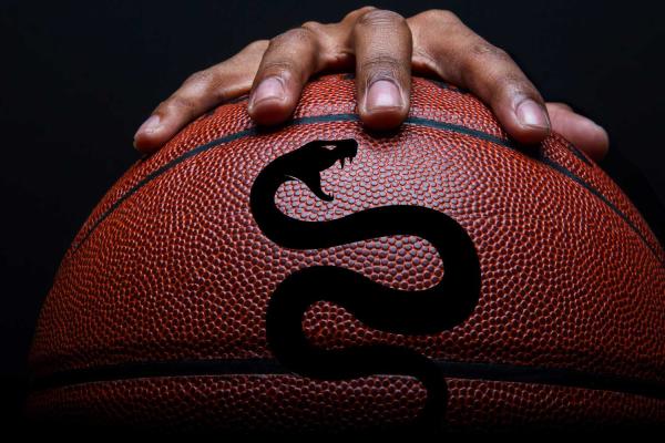 Kobe Mamba Mentality Day