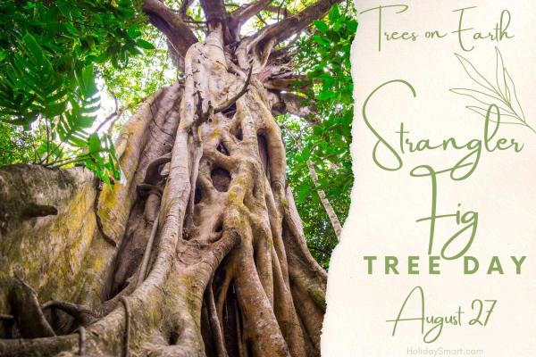 Strangler Fig Tree Day