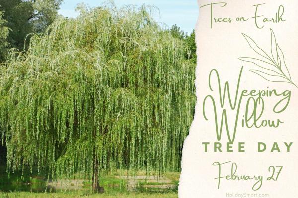 Weeping Willow Tree Day