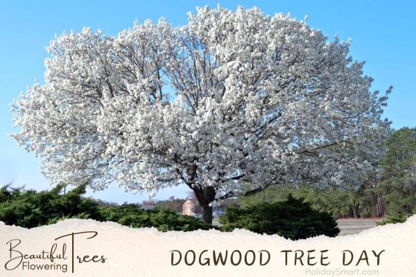 Dogwood Tree Day