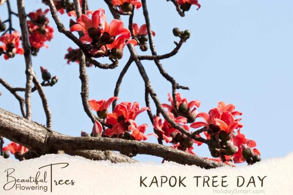 Kapok Tree Day