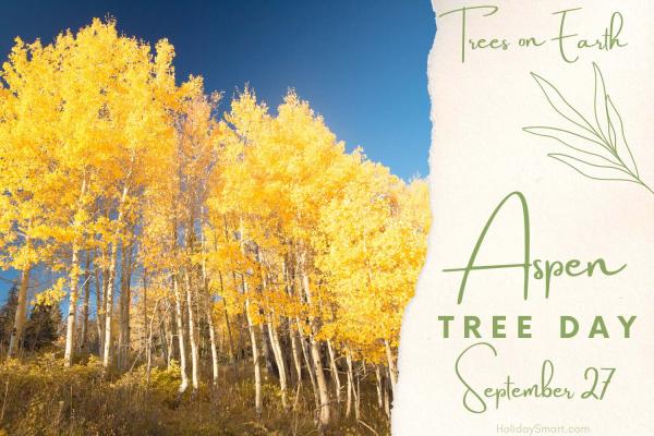 Aspen Tree Day