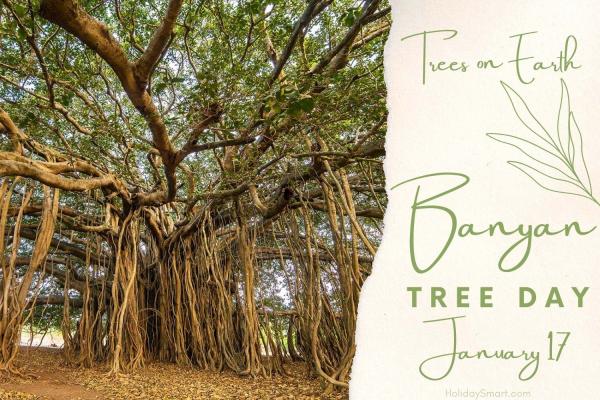 Banyan Tree Day
