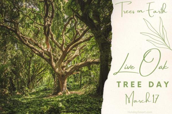 Oak Tree Day