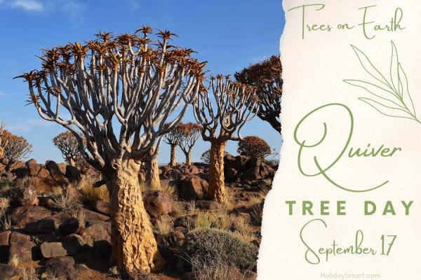 Quiver Tree Day