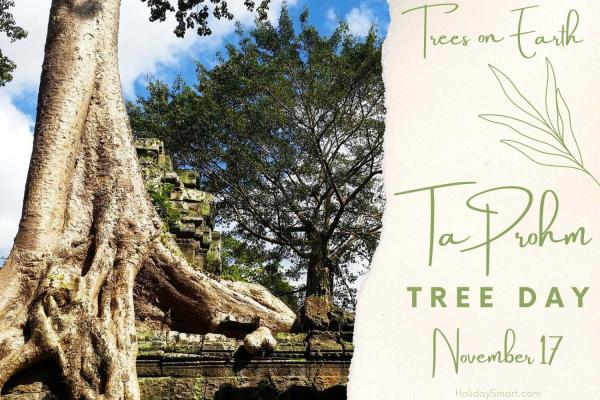 Ta Prohm Tree Day