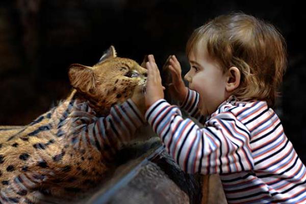 Kid at the zoo