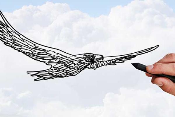 Draw a Picture of a Bird Day