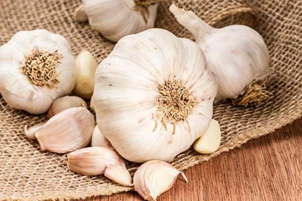Garlic Day