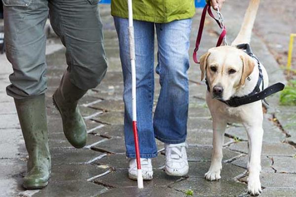 Guide Dog Day