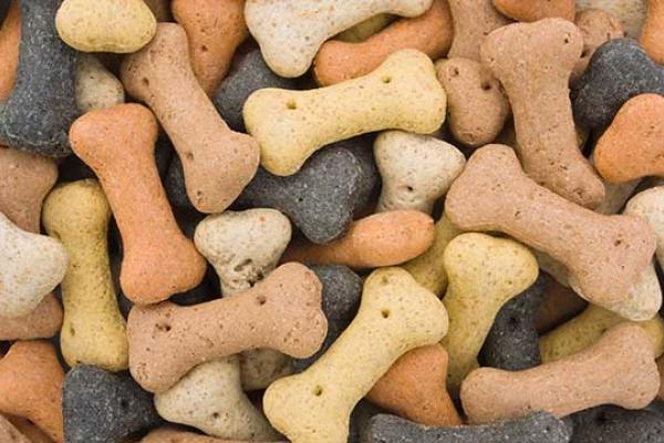 Dog Biscuit Day