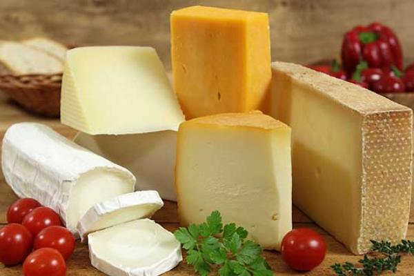 Cheese Lovers Day